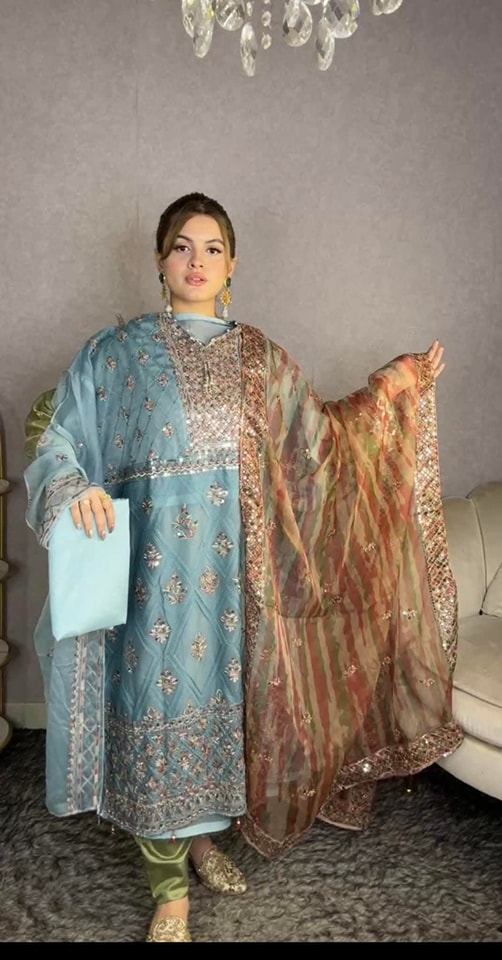 Unstitched Salwar Kameez (New 3050 Fe Pest)